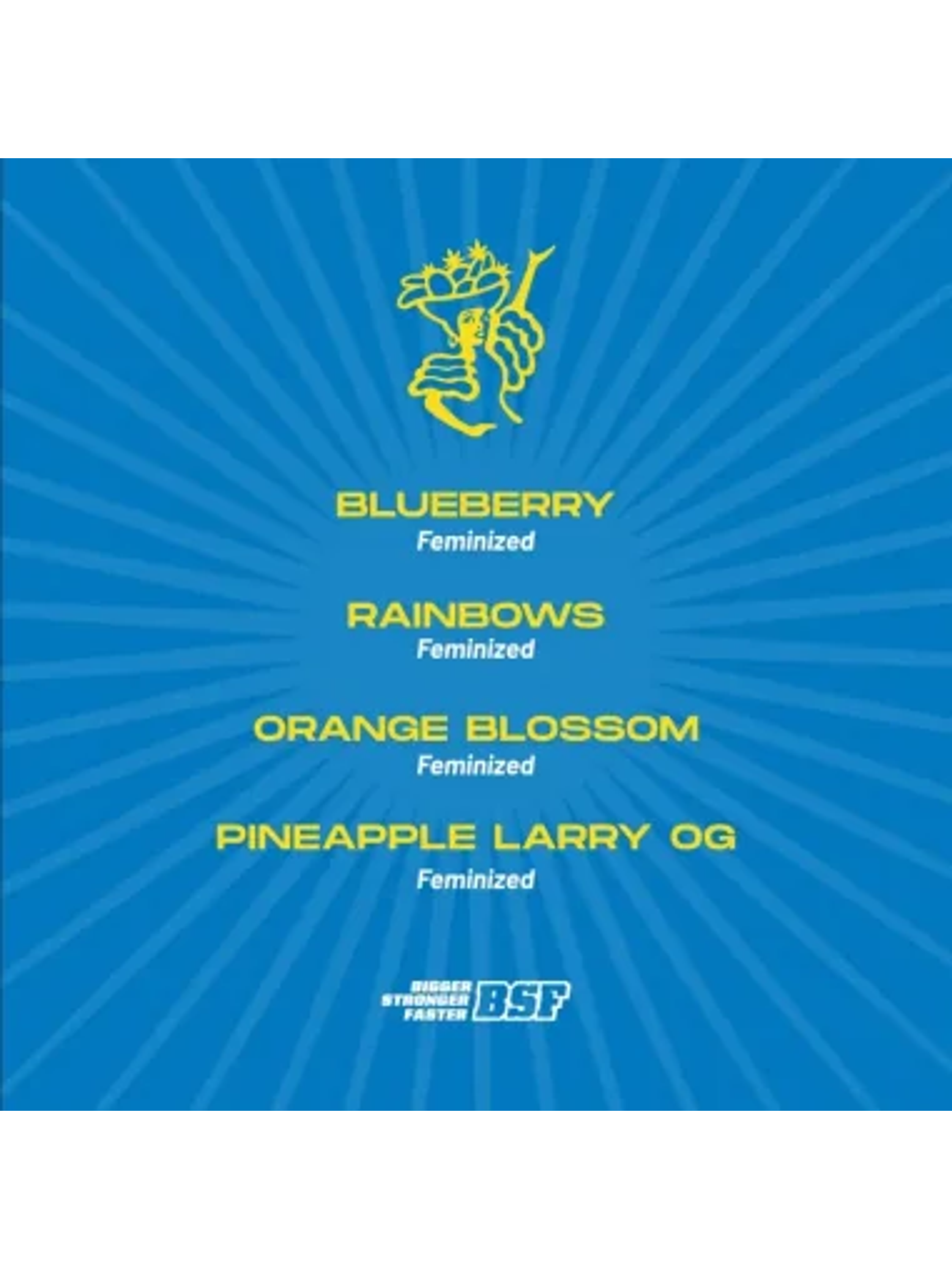 Tutti Frutti Mix Fem -Bsf (X12/X8/X4) 2