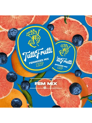 TUTTI FRUTTI MIX FEM X12-BSF 2