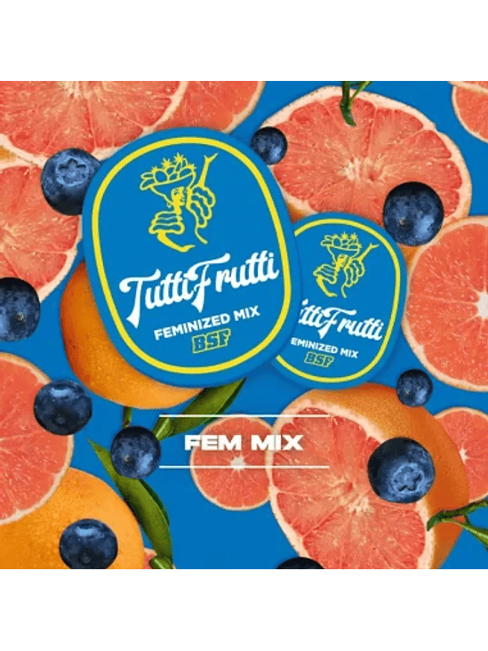 TUTTI FRUTTI MIX FEM X12-BSF 2