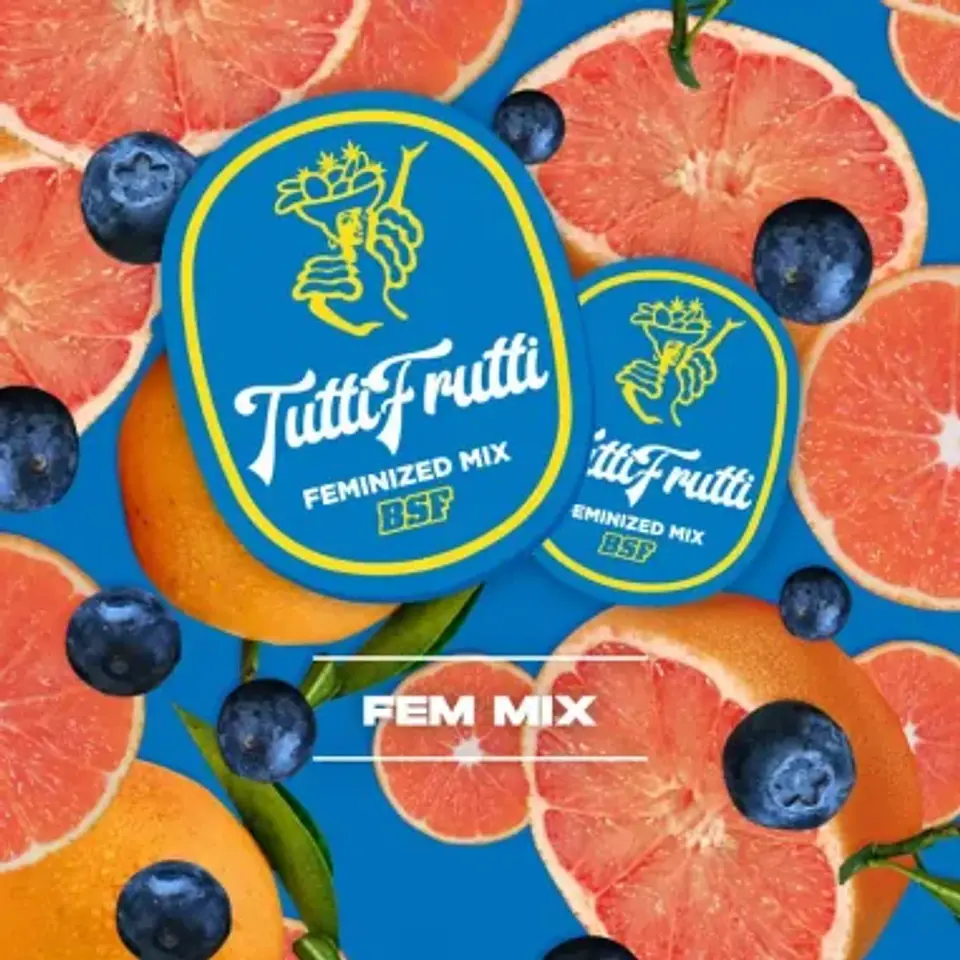 Tutti Frutti Mix Fem -Bsf (X12/X8/X4) 1