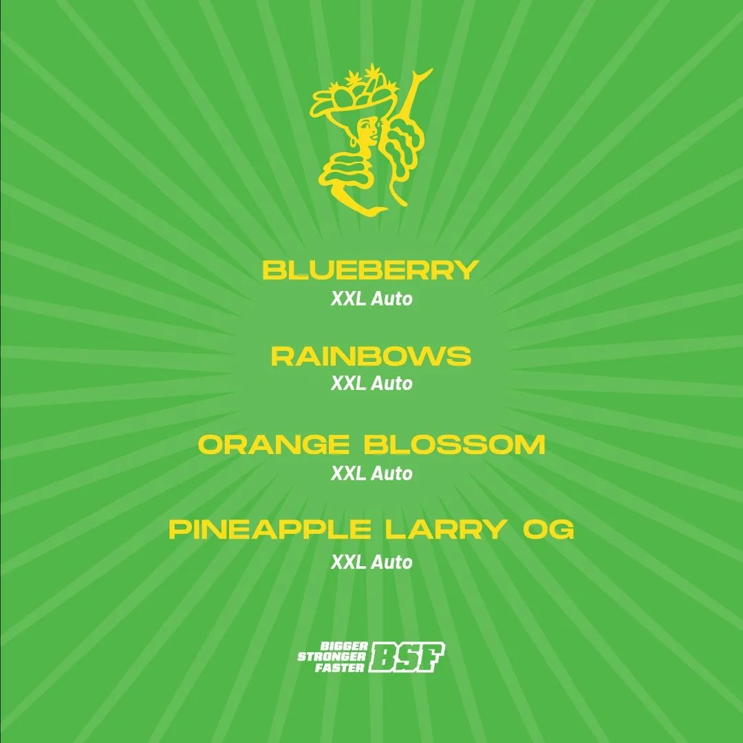 Tutti Frutti Xxl Mix Auto -Bsf (X12/X8/X4) 1