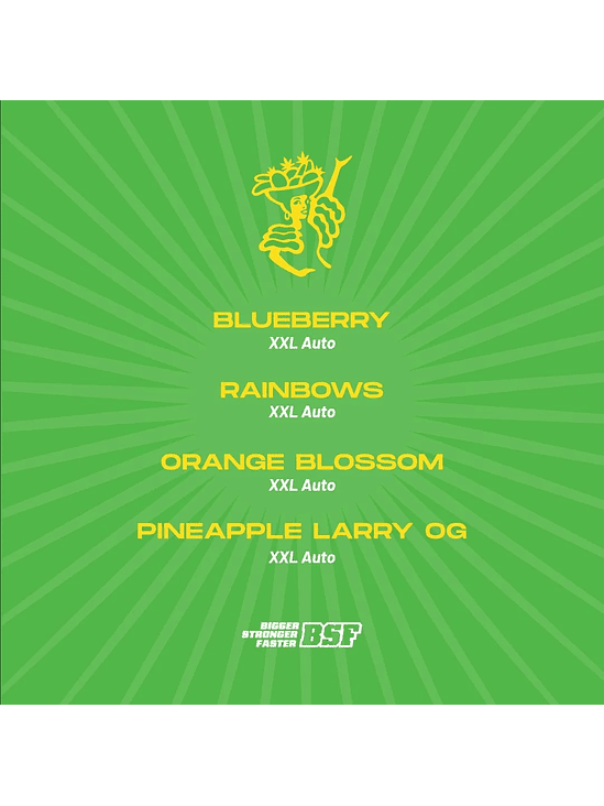 TUTTI FRUTTI XXL MIX AUTO X12-BSF 1