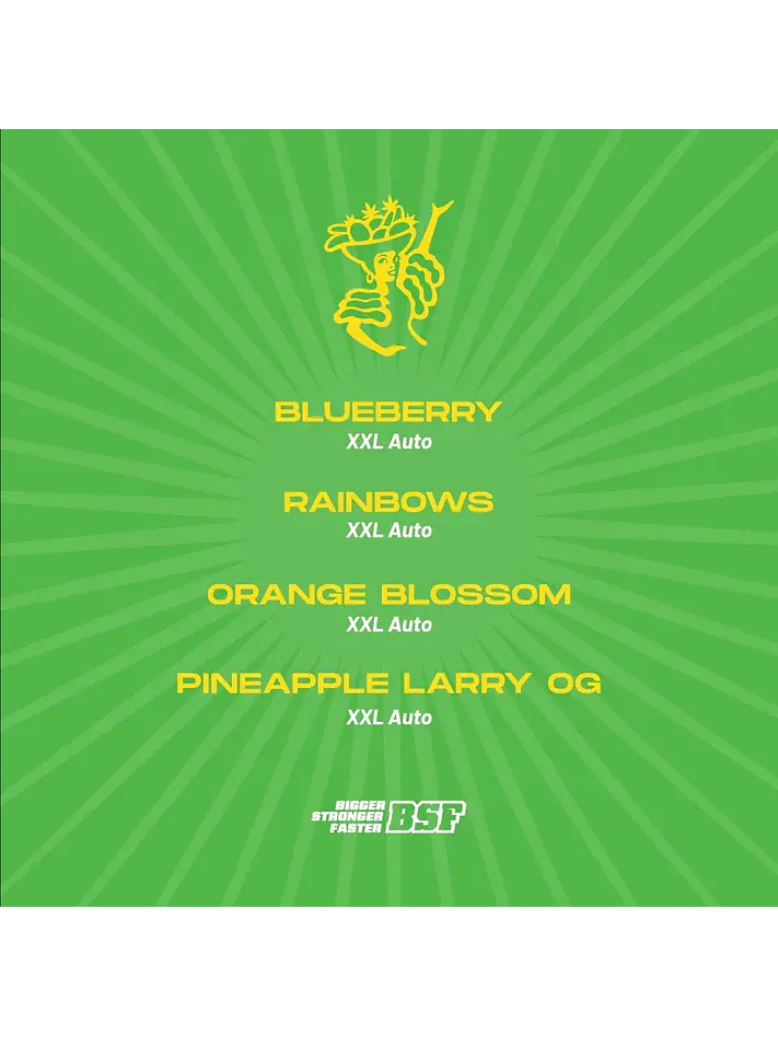 Tutti Frutti Xxl Mix Auto -Bsf (X12/X8/X4) 1