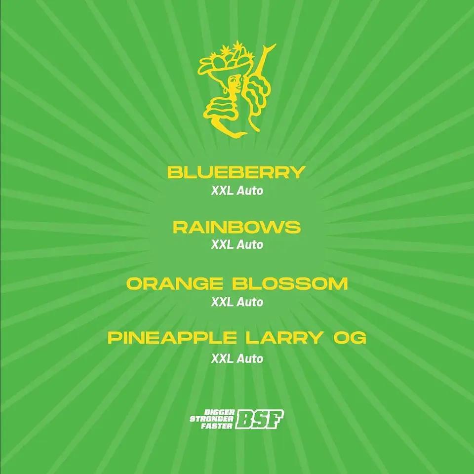 Tutti Frutti Xxl Mix Auto -Bsf (X12/X8/X4) 1