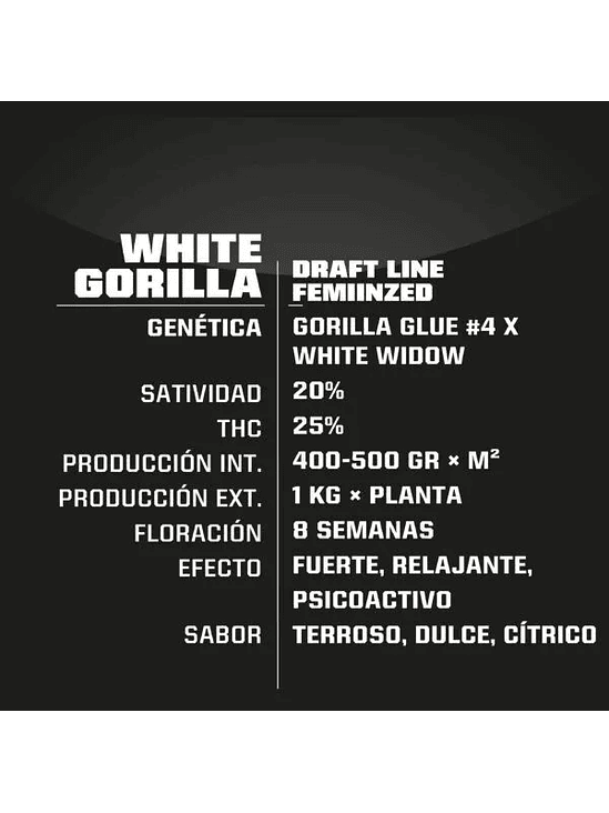 WHITE GORILLA FEM X12-BSF 2