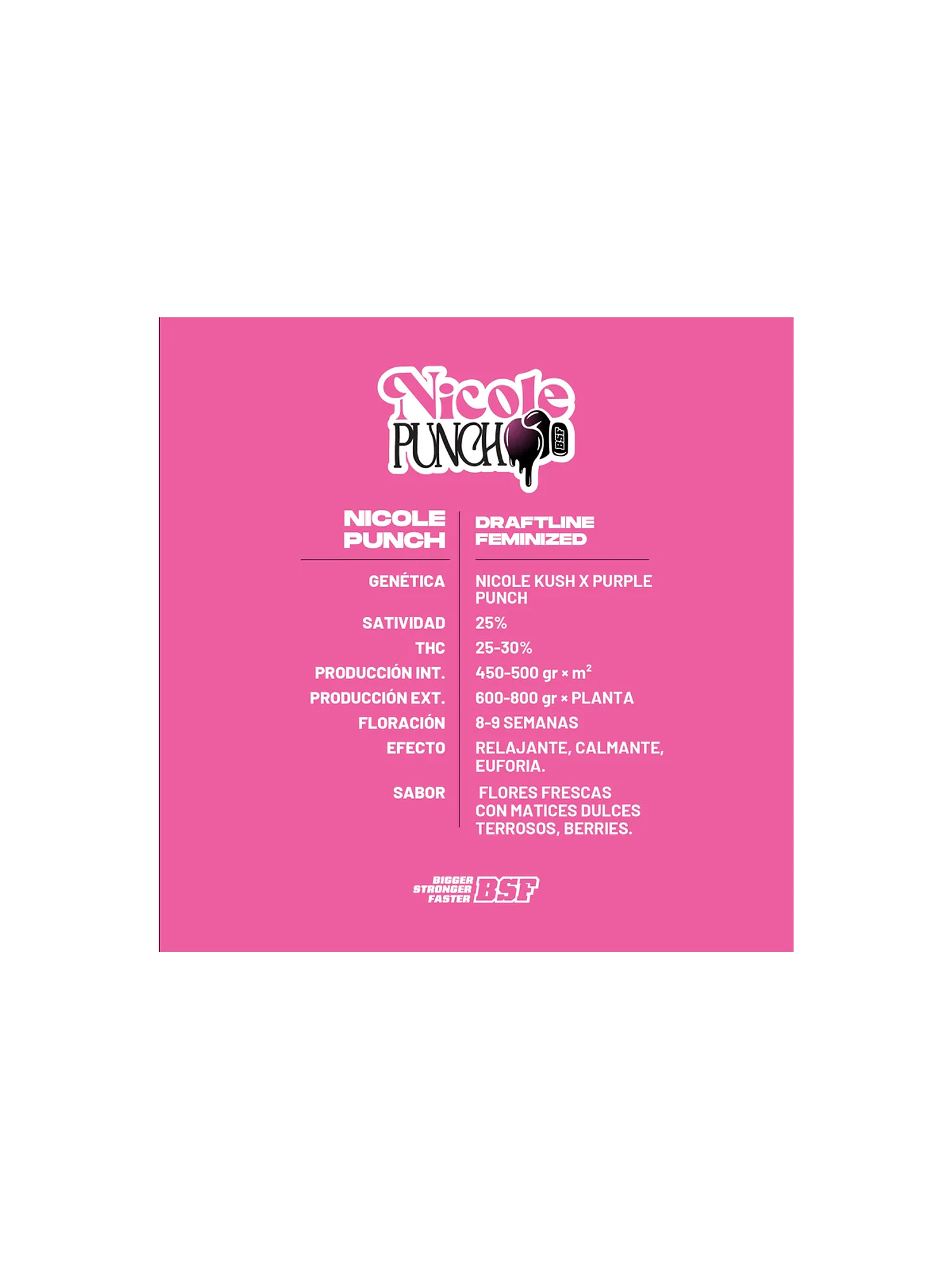 Nicole Punch X2 - Bsf 2