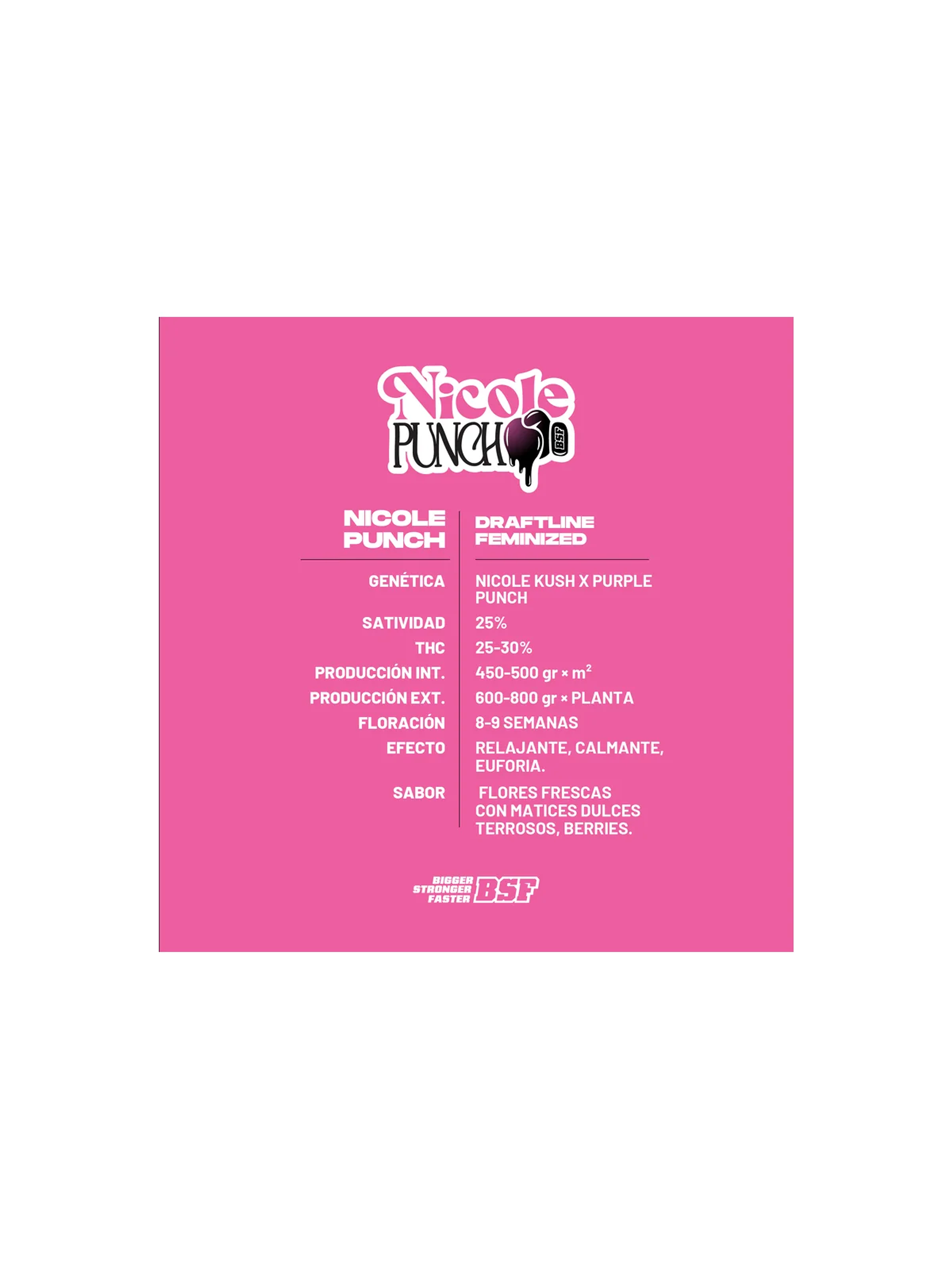 Nicole Punch X2 - Bsf 2