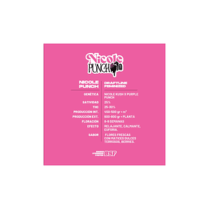 Nicole Punch X2 - Bsf