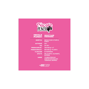 NICOLE PUNCH X2 - BSF