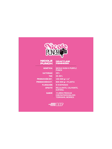 NICOLE PUNCH X2 - BSF 2