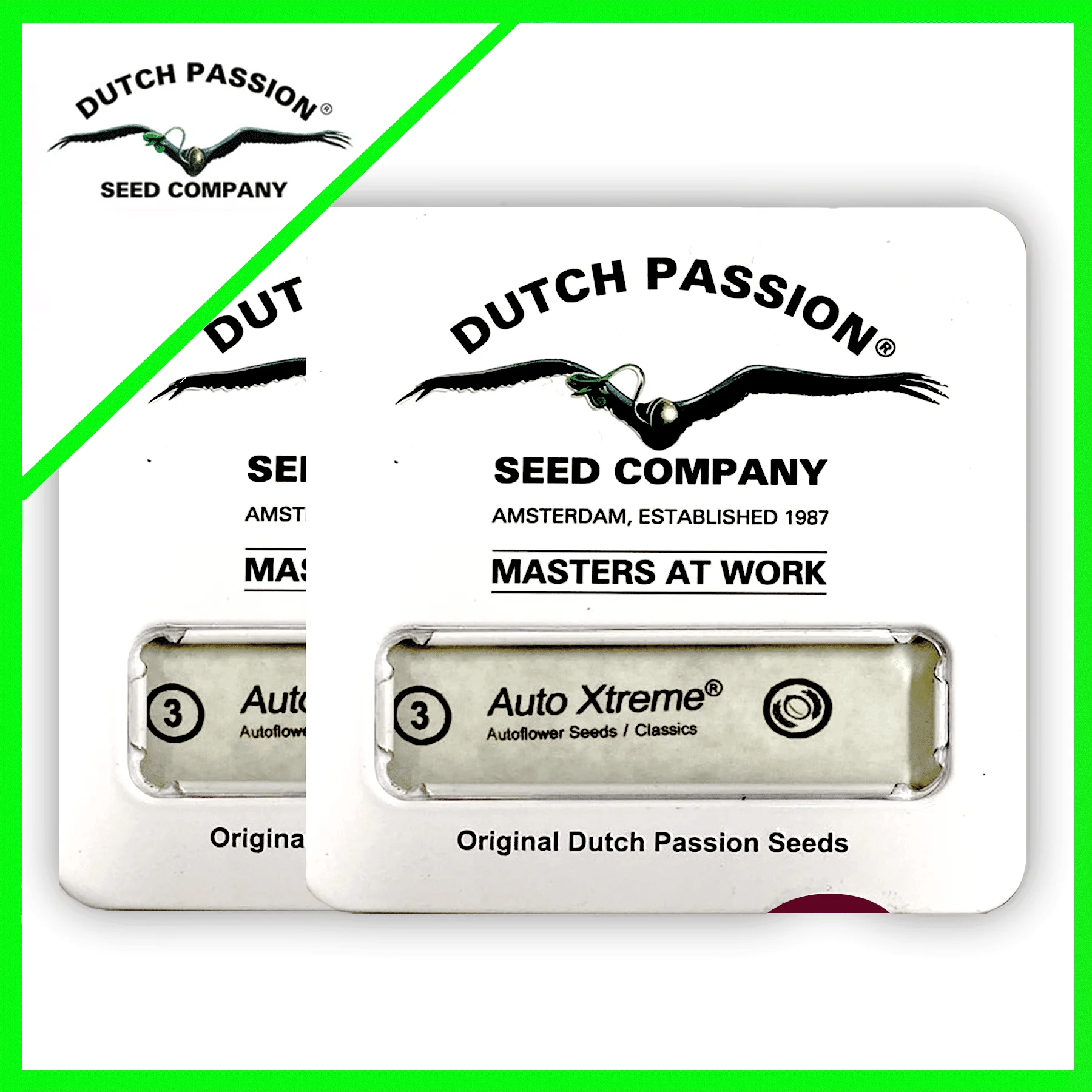 Promocion 2X1 Xtreme Auto X3-Dutch Passion 1