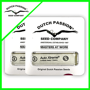 PROMOCION 2X1 XTREME AUTO X3-DUTCH PASSION
