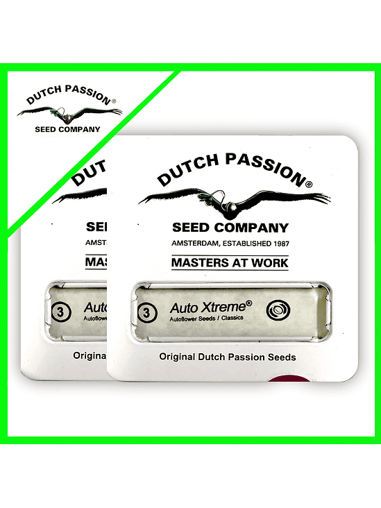 PROMOCION 2X1 XTREME AUTO X3-DUTCH PASSION 1