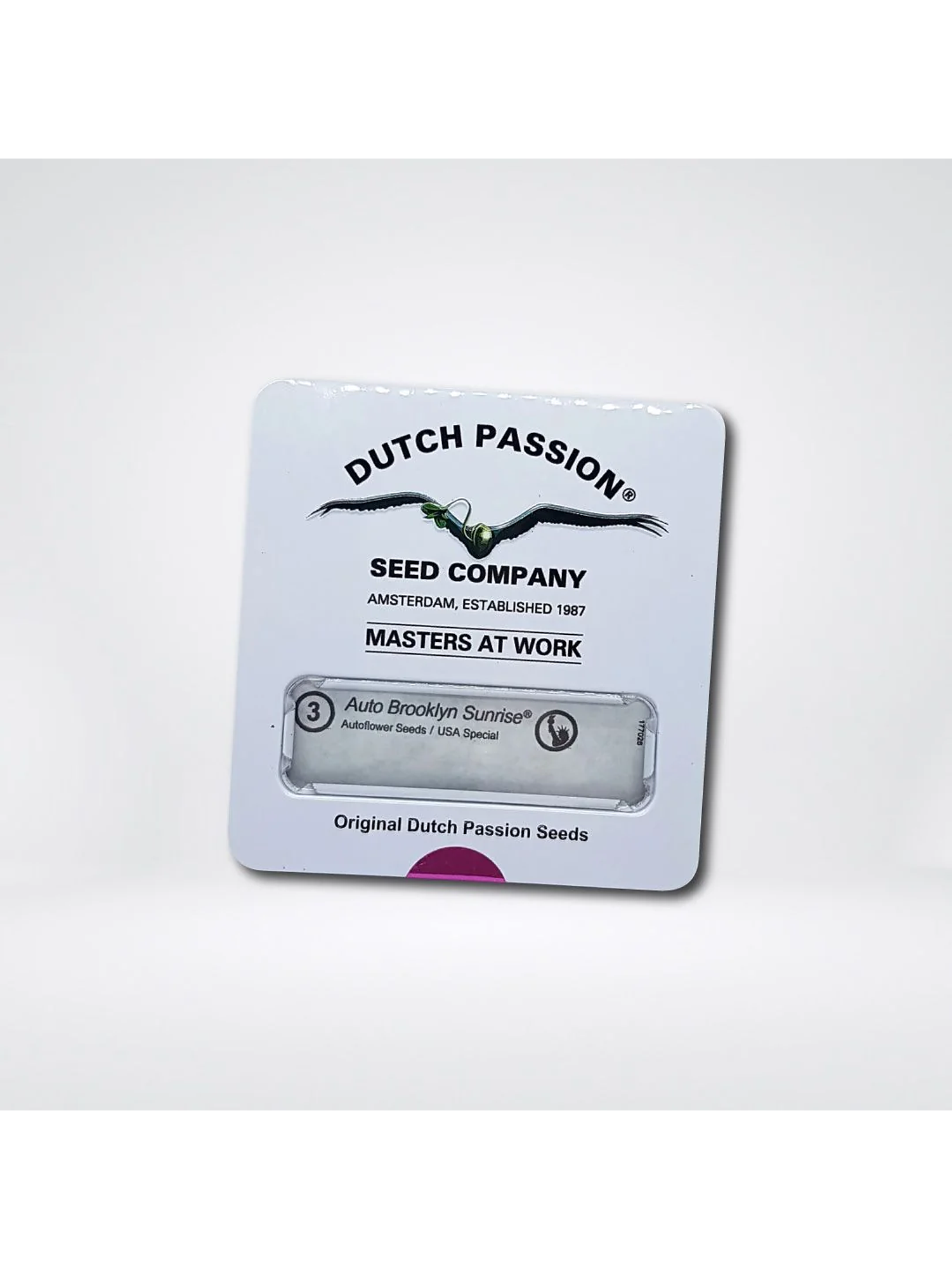 Brooklyn Sunrise Auto X3-Dutch Passion 2