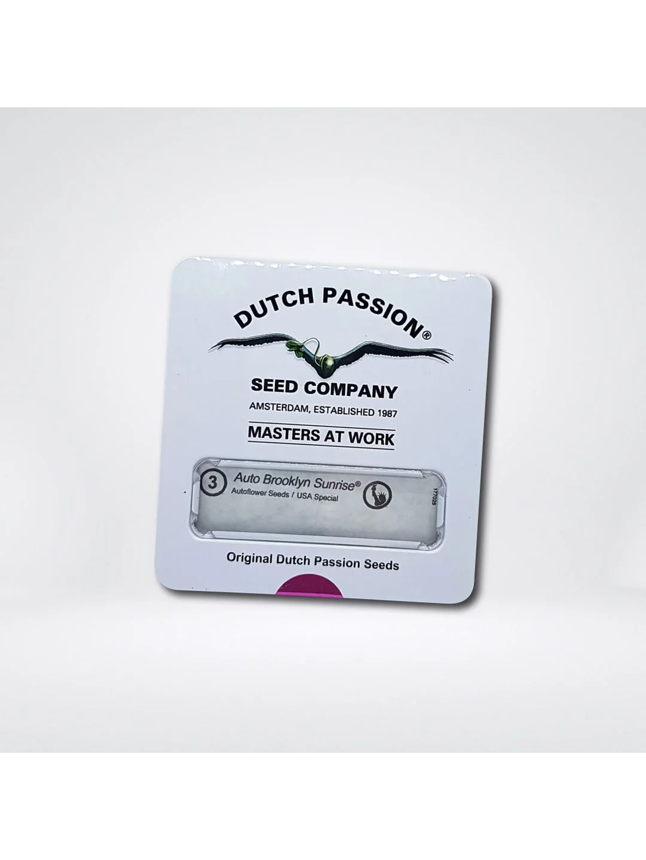 Brooklyn Sunrise Auto X3-Dutch Passion 2