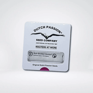 BROOKLYN SUNRISE  AUTO X3-DUTCH PASSION