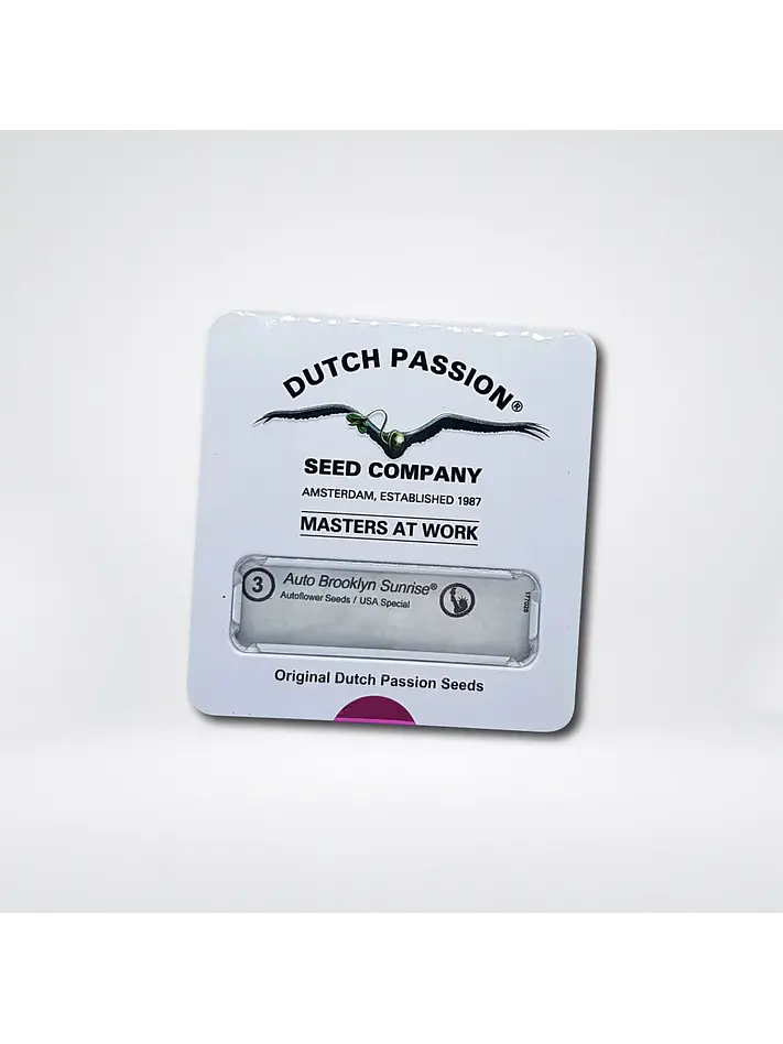 Brooklyn Sunrise Auto X3-Dutch Passion 2