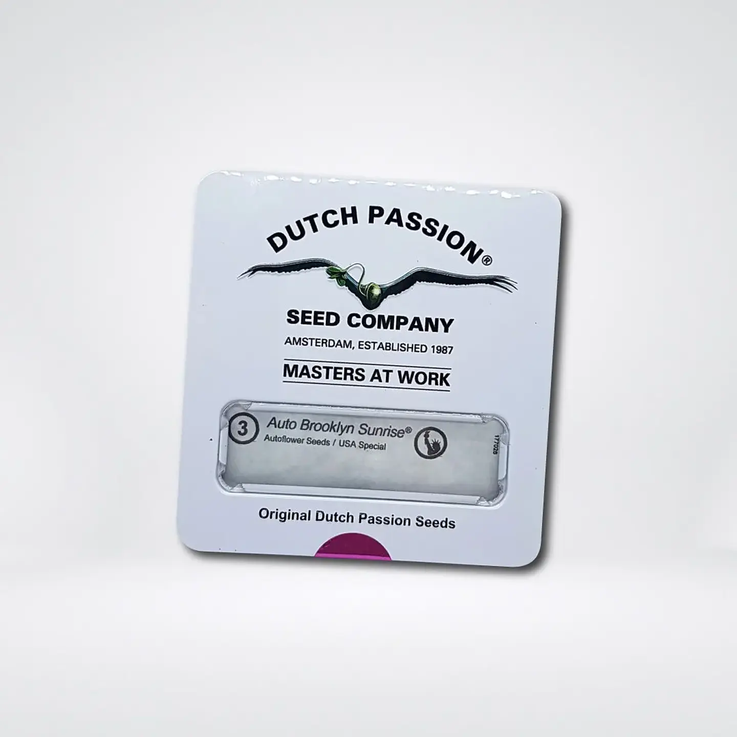 Brooklyn Sunrise Auto X3-Dutch Passion 2