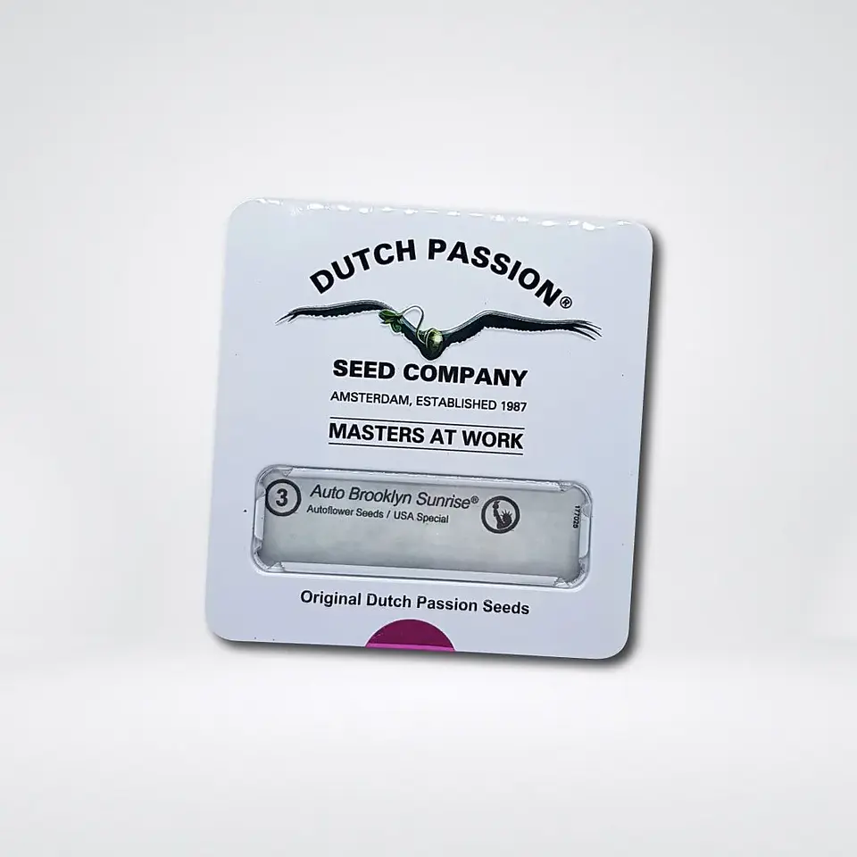 Brooklyn Sunrise Auto X3-Dutch Passion 2
