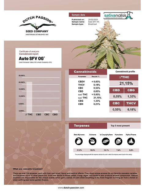 Sfv Og Auto X3-Dutch Passion 5