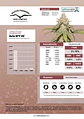 Sfv Og Auto X3-Dutch Passion - Miniatura 5