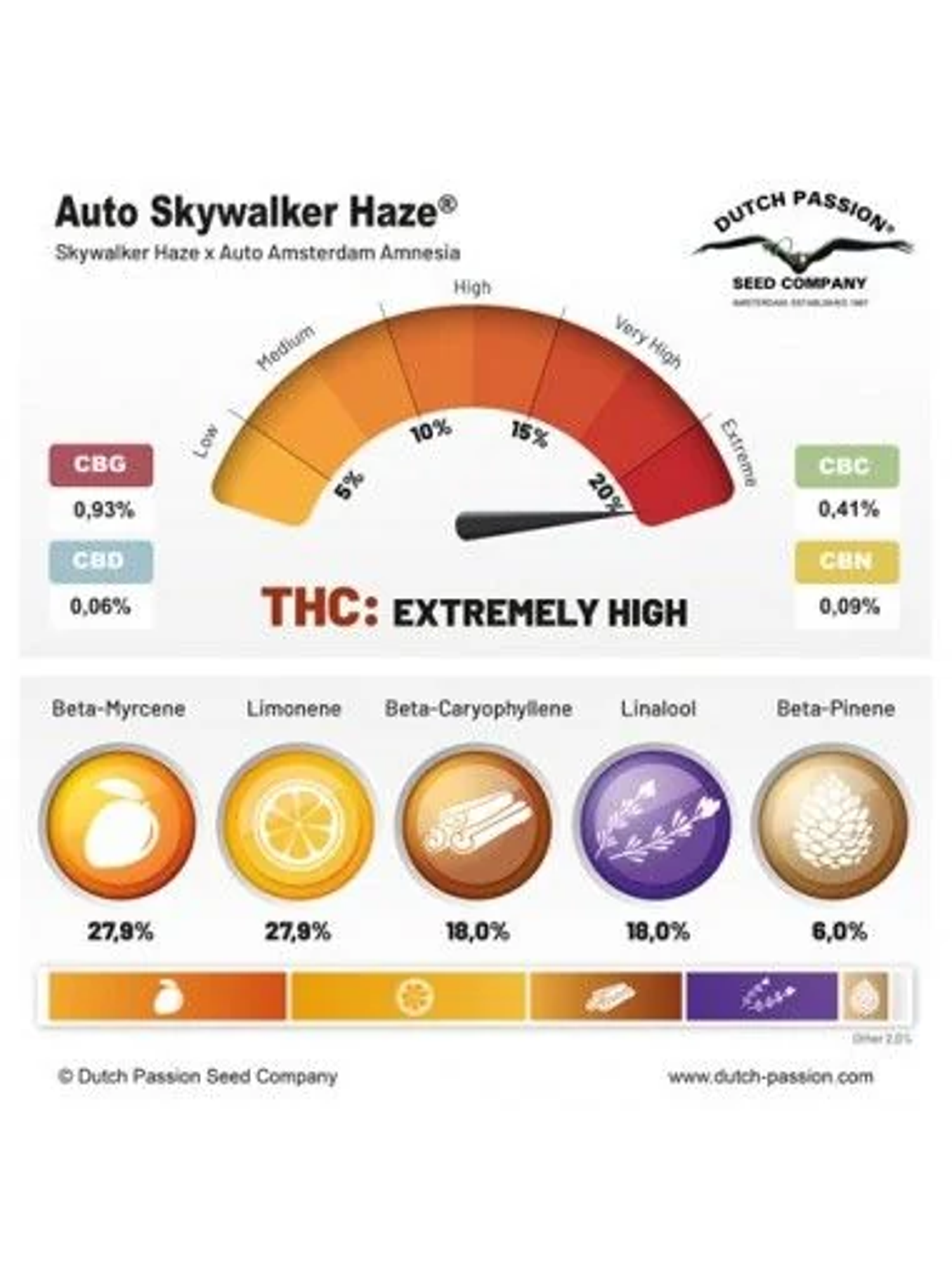 Skywalker Haze Auto -Dutch Passion (X100/X25/X3/X3+1) 2