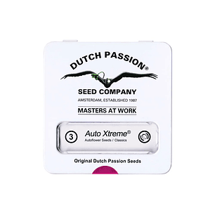 XTREME  AUTO X3-DUTCH PASSION