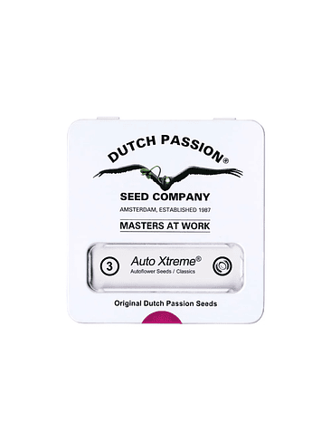 XTREME  AUTO X3-DUTCH PASSION 1
