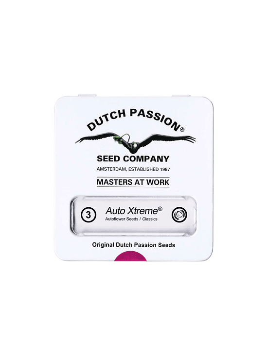 XTREME  AUTO X3-DUTCH PASSION 1
