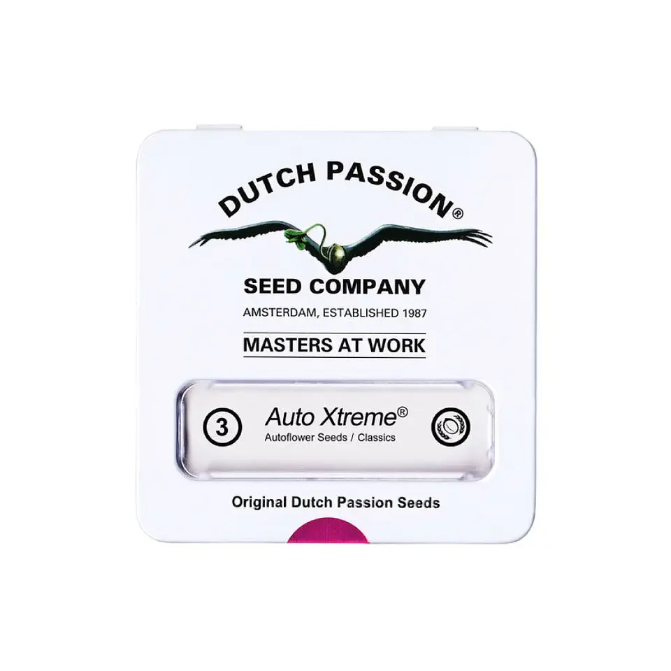 Xtreme Auto X3-Dutch Passion 1