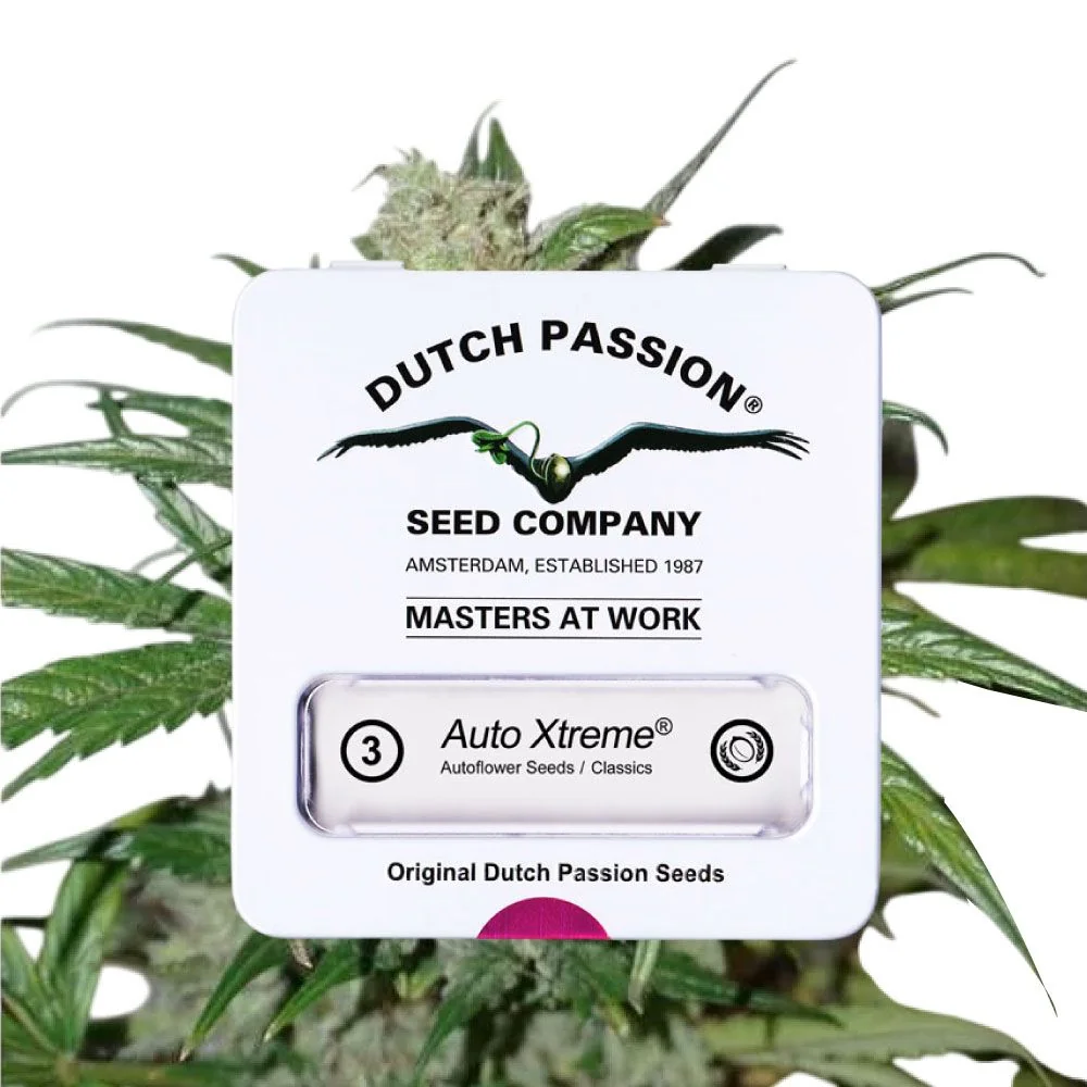 Xtreme Auto X3-Dutch Passion 3