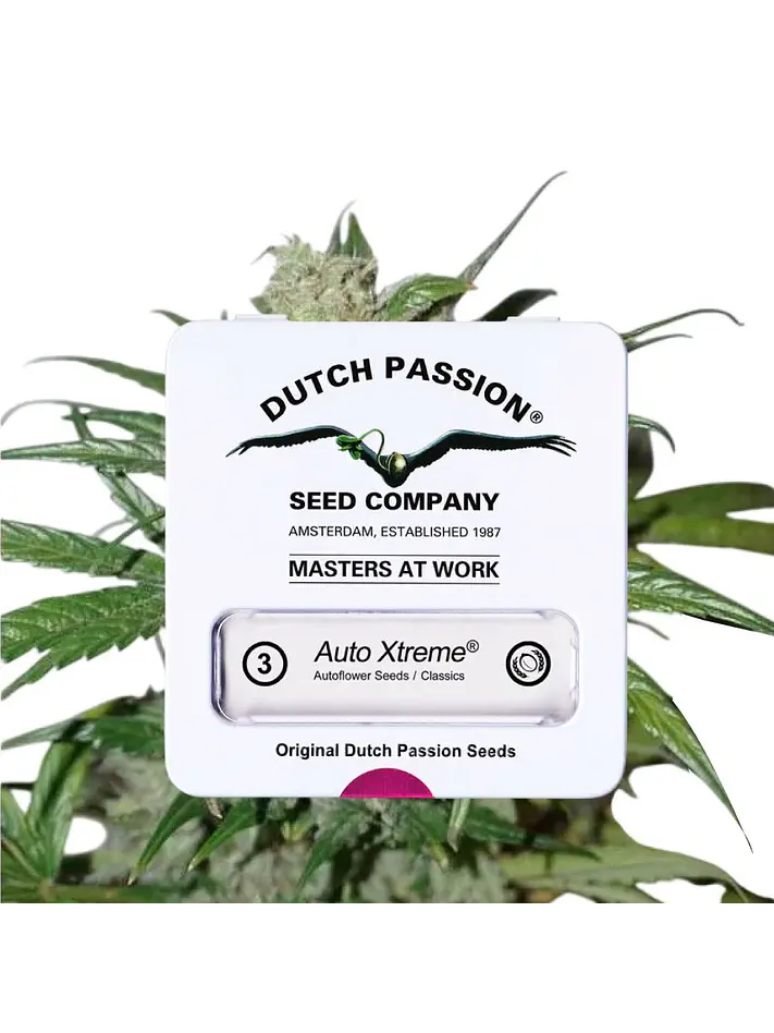 Xtreme Auto X3-Dutch Passion 3