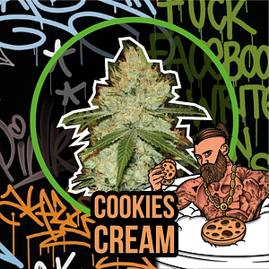 Cookies Cream Auto X1-Delirium Seeds