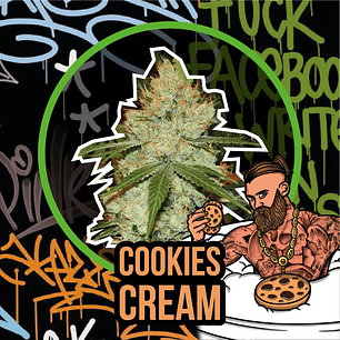 COOKIES CREAM AUTO X1-DELIRIUM SEEDS