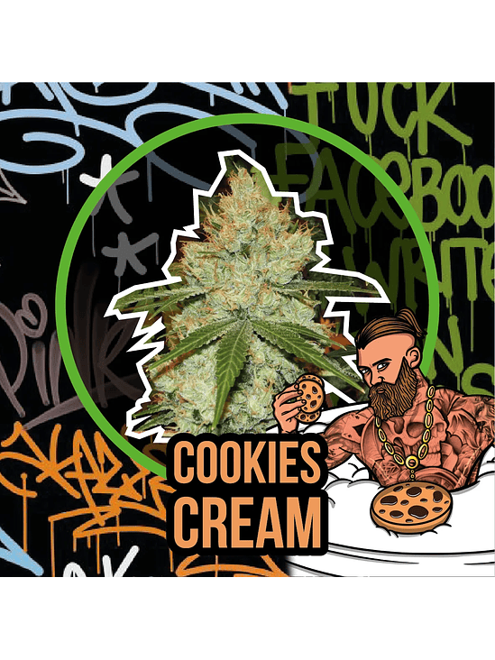 COOKIES CREAM AUTO X1-DELIRIUM SEEDS 1