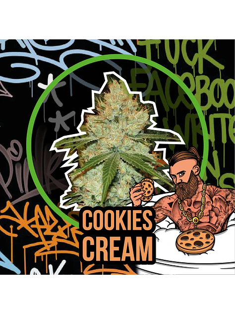 Cookies Cream Auto -Delirium Seeds (X2/X1) 1