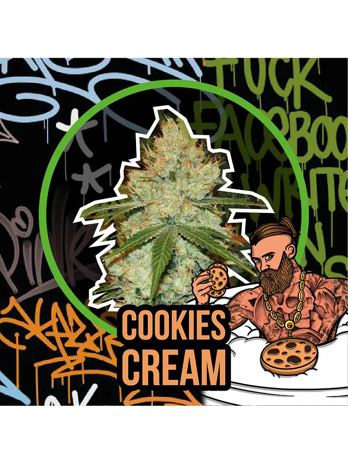 Cookies Cream Auto -Delirium Seeds (X2/X1) 1