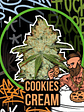 COOKIES CREAM AUTO X2-DELIRIUM SEEDS - Miniatura 1