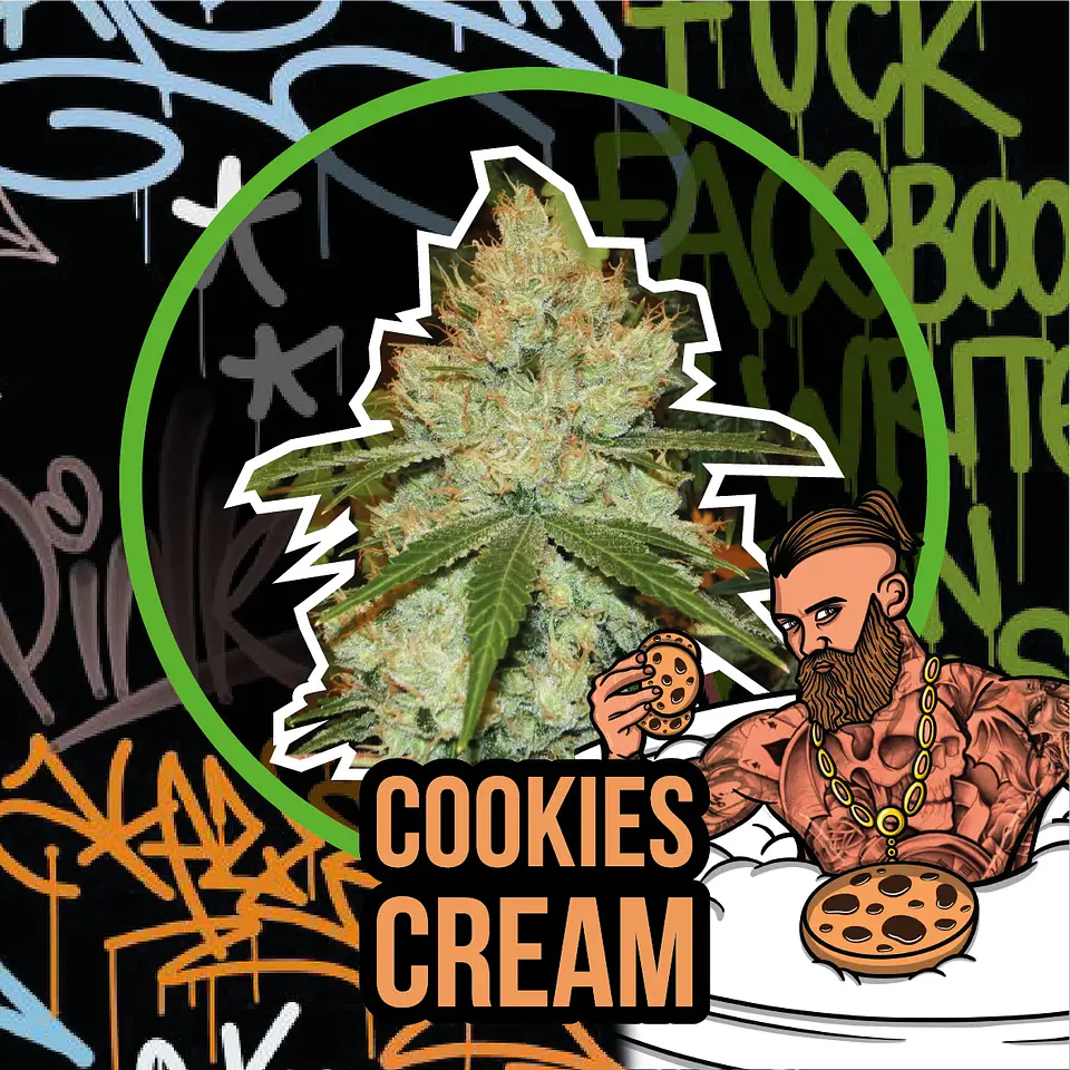 Cookies Cream Auto -Delirium Seeds (X2/X1) 1