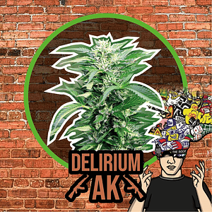 Delirium Ak Auto X1-Delirium Seeds