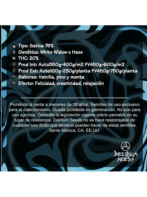 Delirium Moby Auto -Delirium Seeds (X4/X2/X1) 2