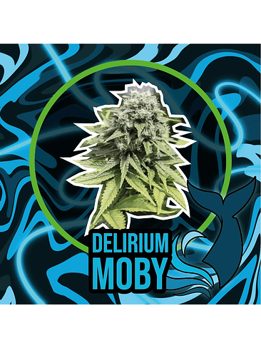 DELIRIUM MOBY FAST VERSION X1-DELIRIUM SEEDS 1