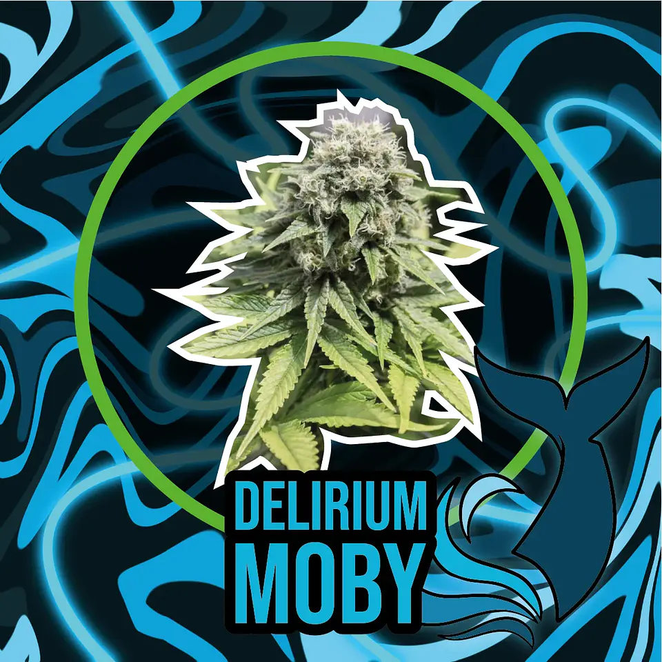 Delirium Moby Fast Version -Delirium Seeds (X7/X4/X1) 1