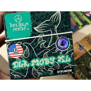 DELIRIUM MOBY XL AUTO X2 - DELIRIUM SEEDS