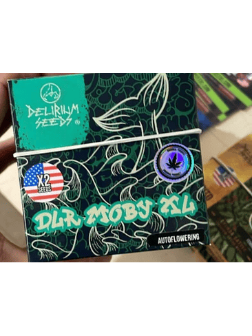DELIRIUM MOBY XL AUTO X2 - DELIRIUM SEEDS 1