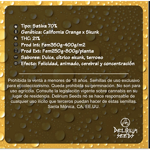 Delirium Tangi Fem X1-Delirium Seeds