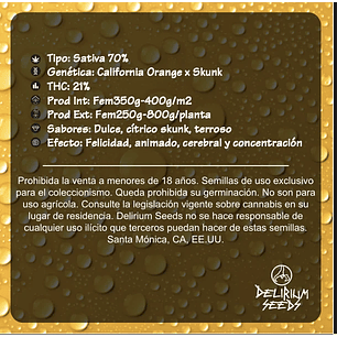 DELIRIUM TANGI FEM X1-DELIRIUM SEEDS