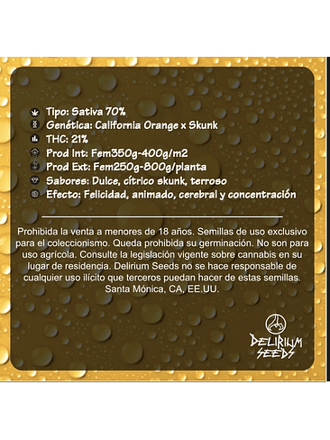 DELIRIUM TANGI FEM X2-DELIRIUM SEEDS 2