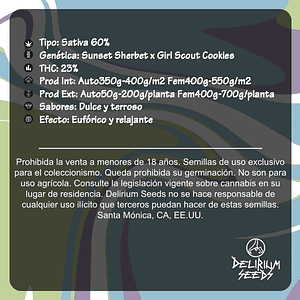 Gelato Fruits Auto X1-Delirium Seeds