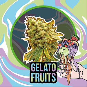 Gelato Fruits Auto X1-Delirium Seeds